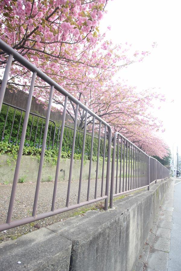 Kiyomori No Baika Hotel เกียวโต ภายนอก รูปภาพ